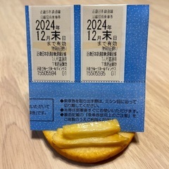 近鉄・沿線招待乗車券2枚組
