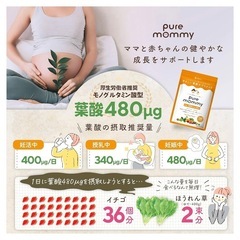 【厚生労働省推奨の葉酸480μg配合】 葉酸 妊活 サプリメント 鉄分の画像