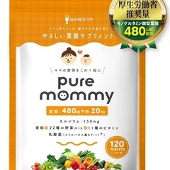 【厚生労働省推奨の葉酸480μg配合】 葉酸 妊活 サプリメント 鉄分