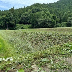富山県草刈りやります！ − 富山県