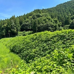 富山県草刈りやります！ - 便利屋