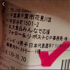 男子バレーボール選手　タペストリー　