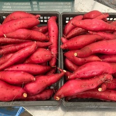 お試し　甘藷🍠　農家直送　さつまいも　10kg　新鮮　甘くて美味...