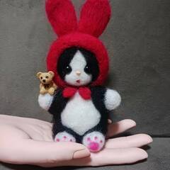 うさぎの着ぐるみ被ったハチ猫ちゃん。