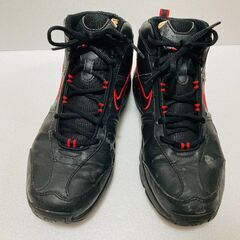 NIKE ナイキ レディース ハイカットスニーカー 24cmの画像