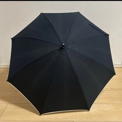 shu uemura・長傘の画像