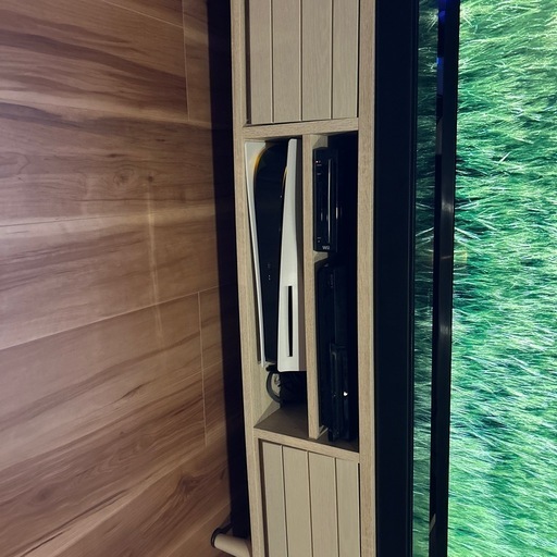 ps5（CFI-1000Aディスク版とARCサバイバルディスクセット取引確定 ）