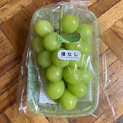 5.6日数量限定シャインマスカット販売します店頭価格より2〜4割...