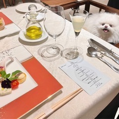 🐶関東ポメの会🐶メンバー募集 - メンバー募集