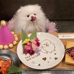🐶関東ポメの会🐶メンバー募集 − 東京都