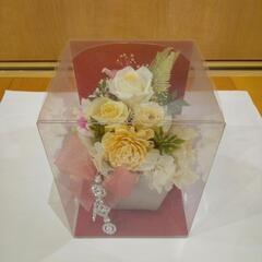 ブリザードとバーバリウムの画像