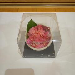 ブリザードとバーバリウムの画像