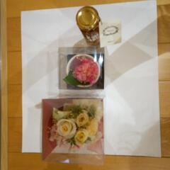 ブリザードとバーバリウムの画像