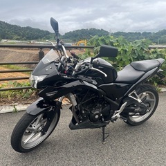 CBR250R MC41 14000km ※即購入不可