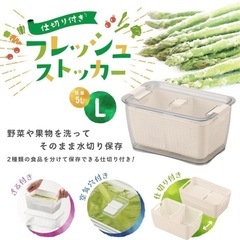 【新品】野菜果物　保存ストッカー　Lサイズ 5L 容器