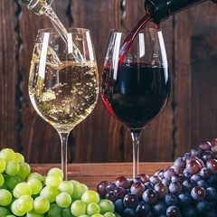 ワイン好きな方🍷