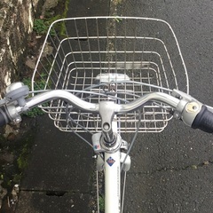 修理・交換・整備済＞人気のブリヂストン・アルベルト・27インチ自転車