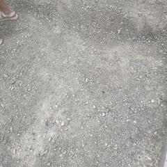 砂、小石混ざってますの画像