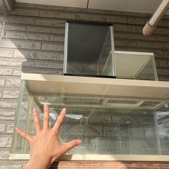 水槽　4個の画像