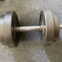 ダンベル 筋トレ