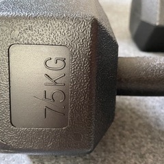 ダンベル 筋トレの画像