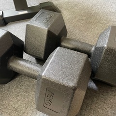 ダンベル 筋トレの画像