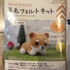 ダイソー2点セット