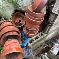 花容器