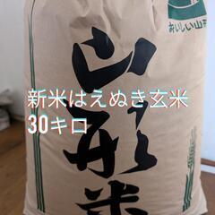 令和6年度 はえぬき玄米