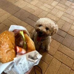 犬友募集🐕 - 友達