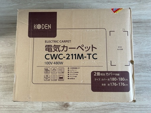 【10/10まで】電気カーペット