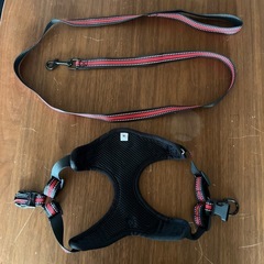 ★　新品　ハーネスとリードのセット　Mの画像