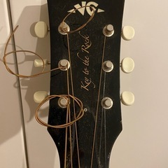 アコースティックギター VG KTR-LGの画像
