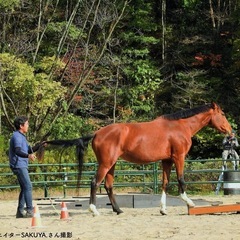 🐴第9回 ホースマンシップショー & 美馬森馬(マ)ルシェ