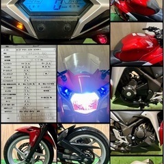 ※ご成約済み※★長野県の方限定送料無料★【動画あり】★ホンダ CBR250R★ 実動 人気車種 MC41 FI インジェクション 水冷 4サイクル ニンジャ GSX YZF フルカウルネイキッドの画像