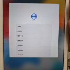 美品　Apple iPad Air 2 (2世代) Wi-Fi + Cellular：A1567