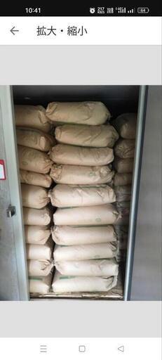 ⑨コシヒカリ玄米30kg　岐阜県垂井町産コシヒカリ