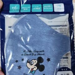 大人マスク未開封