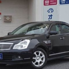 これはかなり希少かもしれない？！？！　🔥ブルーバード！🔥しかも距...