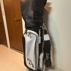レディース用ゴルフバッグ
