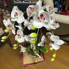 胡蝶蘭 造花 (支柱、植木鉢付)の画像