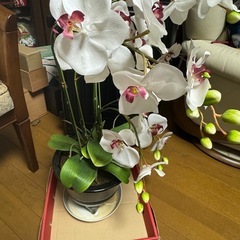 胡蝶蘭 造花 (支柱、植木鉢付)の画像