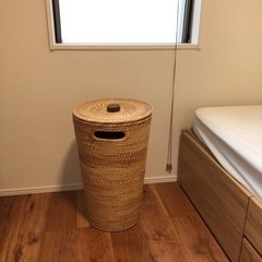 生活雑貨 家庭用品 ガーデニングの画像