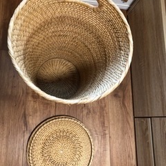 生活雑貨 家庭用品 ガーデニングの画像