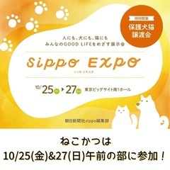 【sippo EXPO保護犬・猫譲渡会　in 東京ビックサイト】