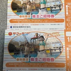 即日発送最短翌日届対応可東京サマーランド無料券フリーパス 1〜5枚 