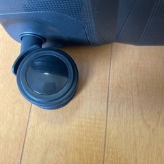 ACE exactスーツケースの画像