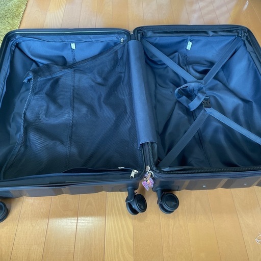 ACE exactスーツケース