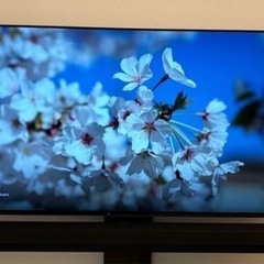 テレビ