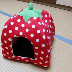 新品小犬ペットお家